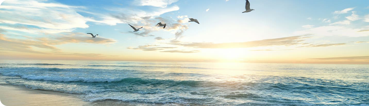 A photograph of a flock of birds flying over the sea